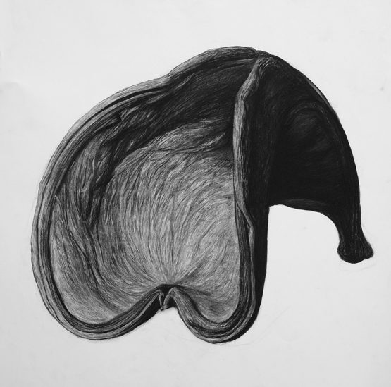 Charcoal on paper, 100 x 70 cm