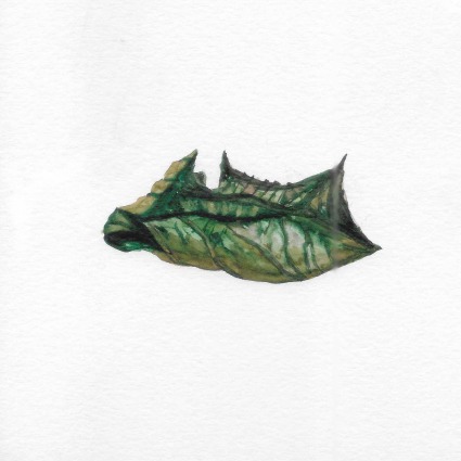 Muted — watercolour artwork by Lucretia