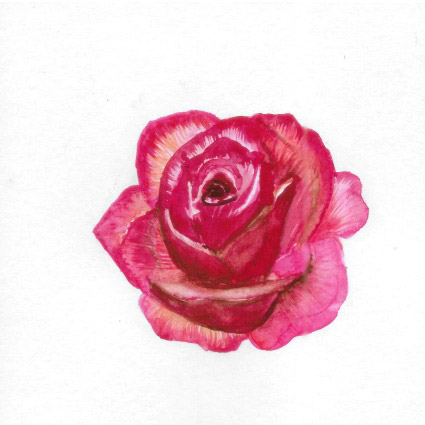 Bloom — watercolour artwork by Lucretia