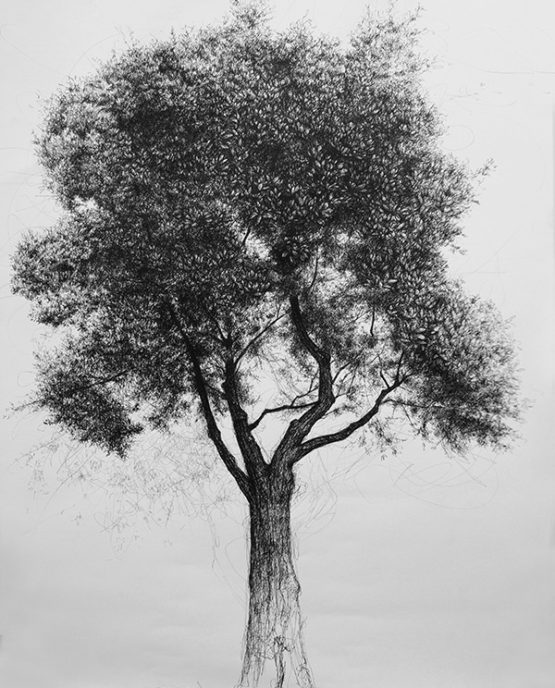 Pen on paper, 100 x 70 cm