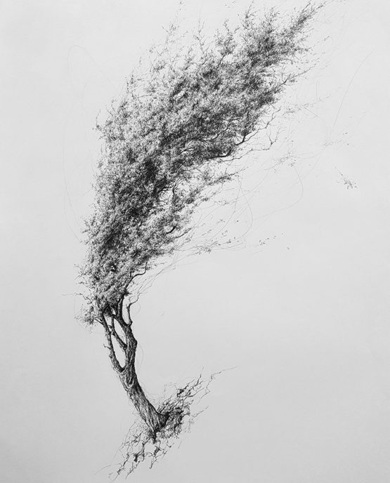Pen on paper, 100 x 70 cm